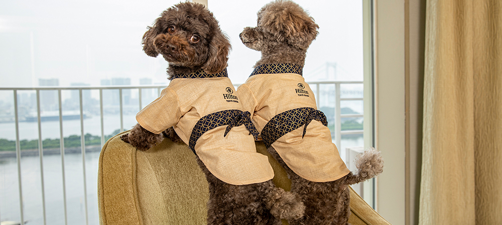 【ペットといっしょにお泊り】ワンニャイトステイ+plus／朝食付き