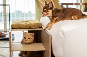 【ペットといっしょにお泊り】ワンニャイトステイ+plus／朝食付き